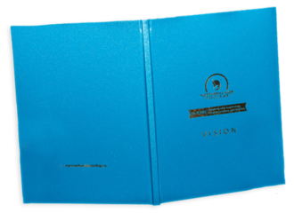 Vision book 